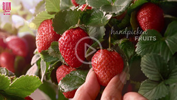 Slow Churn Artisanal Ice Cream Strawberry – Creamy & Delicious 