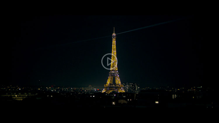 Titan Timeless Watch